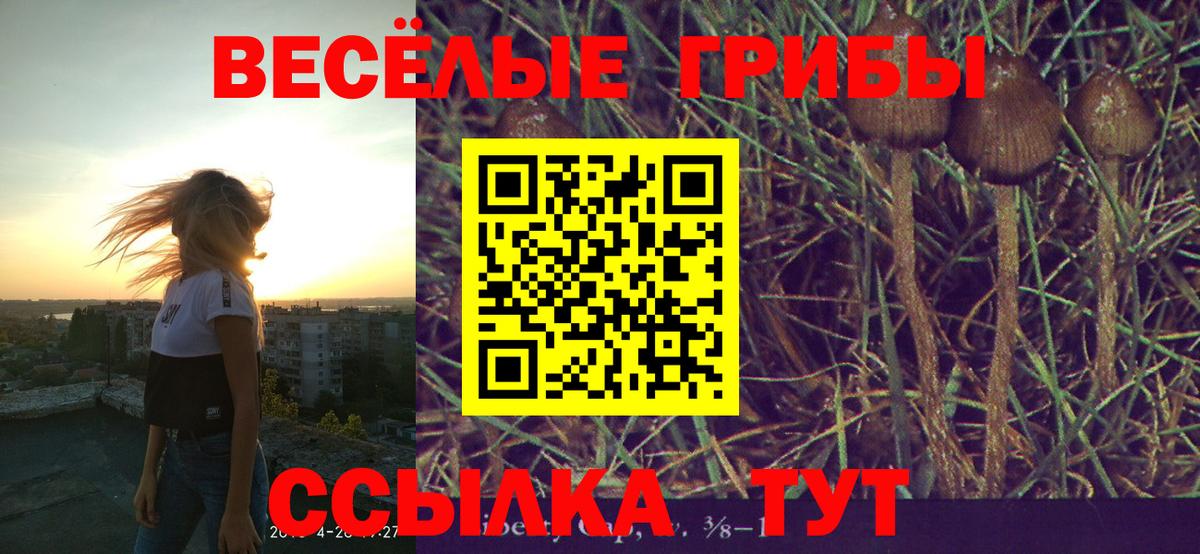 Псилоцибиновые грибы MAGIC MUSHROOMS Учалы